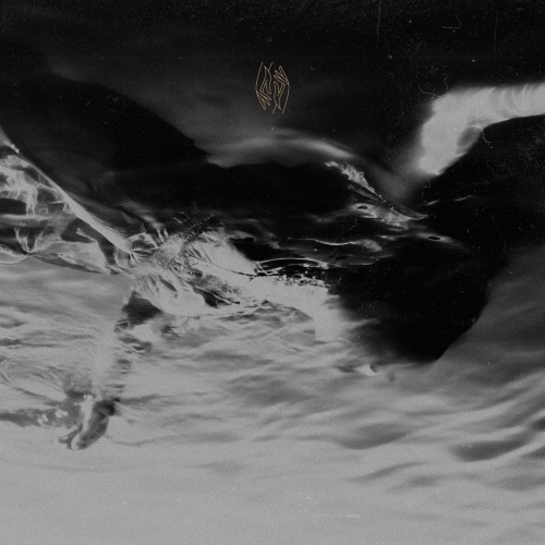 Limbs (USA-2) : Coma Year